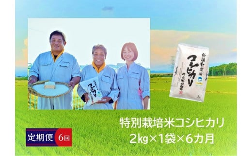 D13【令和４年産】（定期便）特別栽培米コシヒカリ　２㎏×６か月