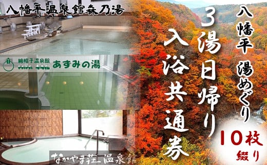 3湯日帰り入浴券10枚綴り【日帰り温泉】 ／ 温泉 回数券 森乃湯 あずみの湯 なかやま荘 689269 - 岩手県八幡平市