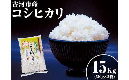 令和5年産 関東平野で育った古河市産コシヒカリ 15kg（5kg×3袋）_DG01※着日指定不可※離島への配送不可