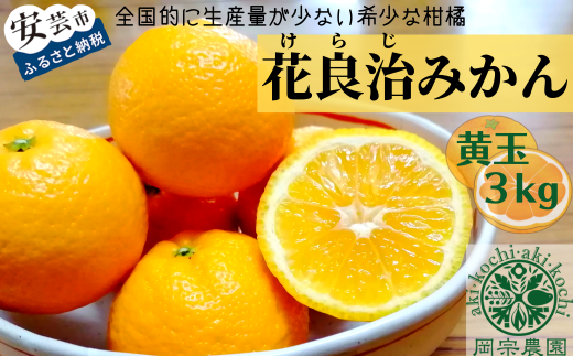 00 29 岡宗農園の花良治 ケラジ みかん 黄玉 3kg 高知県安芸市 ふるさとチョイス ふるさと納税サイト