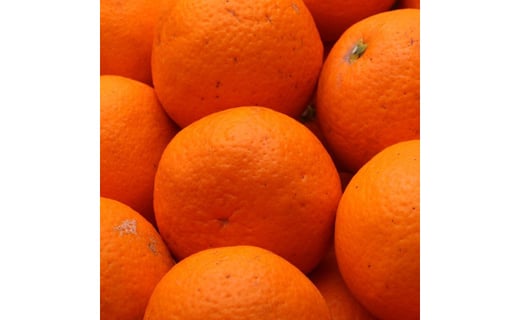 2月より発送＞家庭用きよみオレンジ6.5kg+195g（傷み補償分）【光