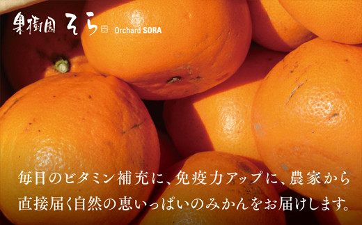 C45-38.【果樹園そら】 せとか ５kg【 訳あり 】 - 愛媛県八幡浜市