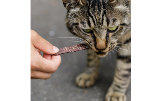 北海道むかわ町産＞鹿肉ジャーキー(犬猫用) 40g×6袋【1287884