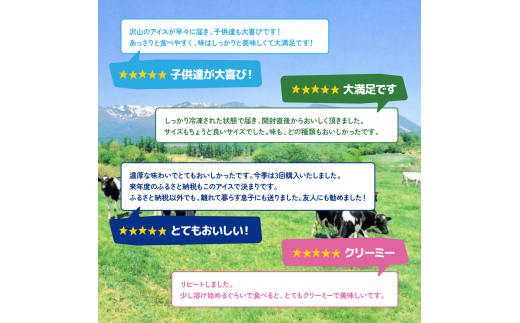 「フロム蔵王」Hybrid　スーパーマルチアイスBOX 24個(4種×各6個) 【01071】