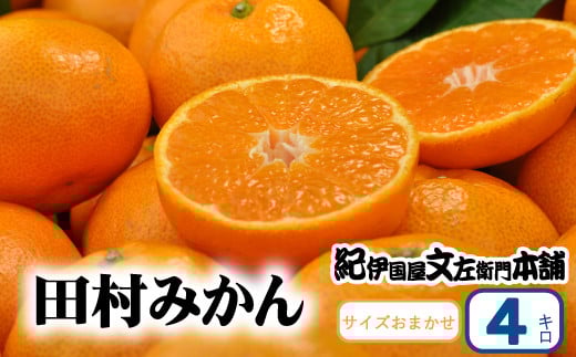 田村みかん 秀品 4kg サイズおまかせ/紀州和歌山有田郡湯浅町田村地区産 ◆2025年11月下旬〜2026年1月中旬頃より順次発送(お届け日指定不可) 紀伊国屋文左衛門本舗[sgtb307B]
