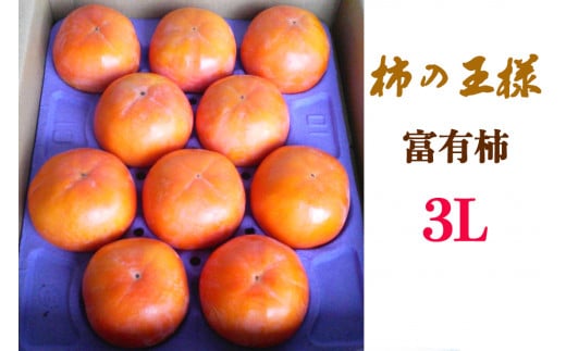 [先行予約]《柿の王様》加藤果樹園の富有柿3Lサイズ10個入り 11月上旬～12月上旬発送予定