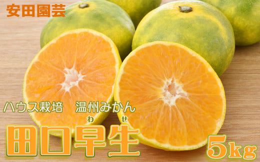 【数量限定・先行予約】甘みが強く最高の食感 早生 温州みかん『田口早生』５kg　[0009-0027]