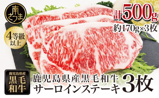【鹿児島県産】黒毛和牛 サーロインステーキ 約500g （約170g×3枚） 牛肉 A4等級 ステーキ BBQ ギフト 贈答 冷凍 スターゼン 南さつま市