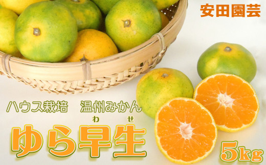 驚くほどの甘みとたっぷりの果汁!希少価値のゆら早生温州を生産者直送でお届け!