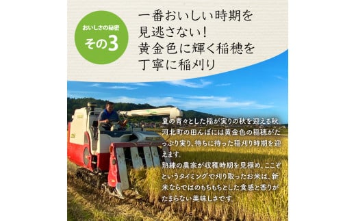 令和5年産米】2024年7月下旬発送 特別栽培米 つや姫10kg（5kg×2袋