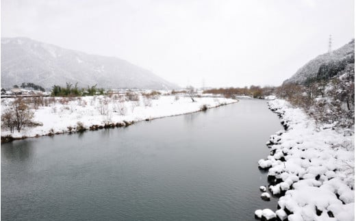 福井県勝山市のふるさと納税 一本義辛爽系純米吟醸 720ml×1本 [A-008027]