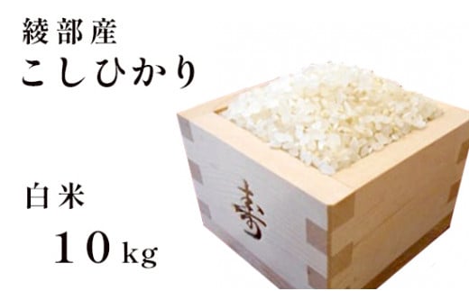 綾部産 コシヒカリ 10kg 白米