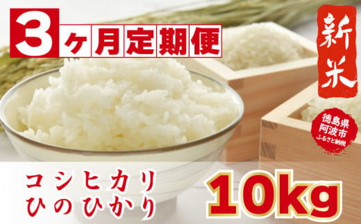 無農薬 コシヒカリ 玄米 20kg(5kg×4)令和元年 徳島県産 - 米/穀物