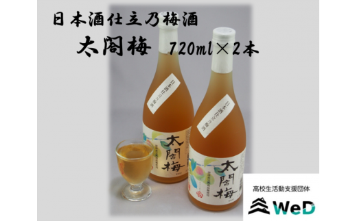 日本酒仕立乃梅酒 太閤梅 720㎖×2本