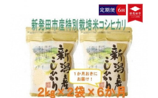 D35【令和４年産】（定期便）特別栽培米コシヒカリ(2kg×2袋×隔月6回)