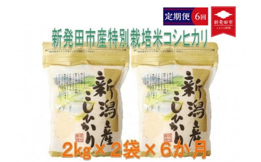 D29【令和４年産】（定期便）特別栽培米コシヒカリ(2kg×2袋×6ヵ月)