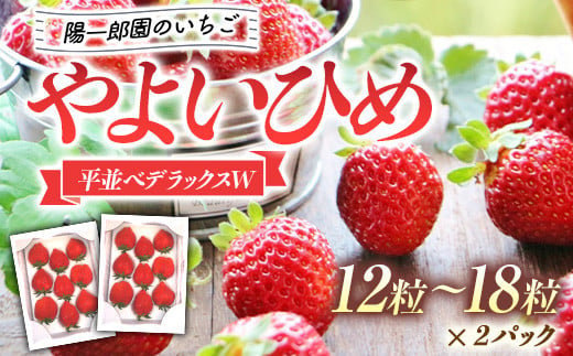 陽一郎園のいちご 「やよいひめ」 平並べデラックスＷ（ダブル） いちご イチゴ 苺 フルーツ 果物 F4H-0031 487921 - 群馬県渋川市