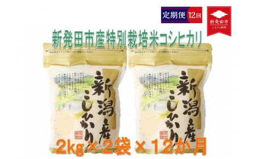 D30【令和４年産】（定期便）特別栽培米コシヒカリ(2kg×2袋×12ヵ月)