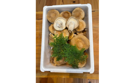 鯖江市産 原木乾燥椎茸「越のてまり」 （大・中サイズ）3パック &（小
