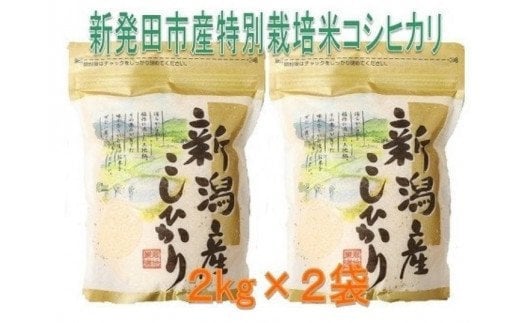 D31【令和４年産】特別栽培米コシヒカリ(2kg×2袋)