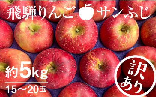 11月下旬から1月上旬発送】《訳あり》りんご サンふじ 約5kg 15～20玉