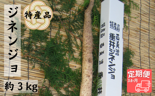 【3か月定期便】特産品 西美濃 垂井ジネンジョ約3kg 469495 - 岐阜県垂井町