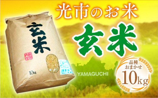 米（玄米）10kg 光市産 国産 コシヒカリ・ヒトメボレ・ヒノヒカリからランダム 586357 - 山口県光市