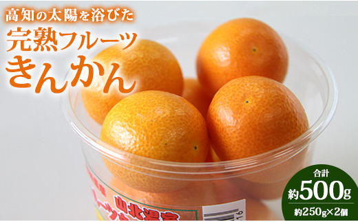 高知の太陽を浴びた完熟フルーツきんかん250g×2パック A-190