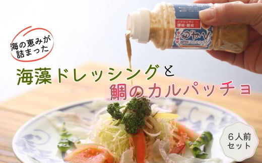 【B4-018】海の恵みが詰まった海藻ドレッシングと鯛のカルパッチョセット6人前