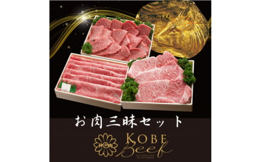 神戸ビーフ うす切り・切り落とし肉セット 合計1100g YBS3【1340605