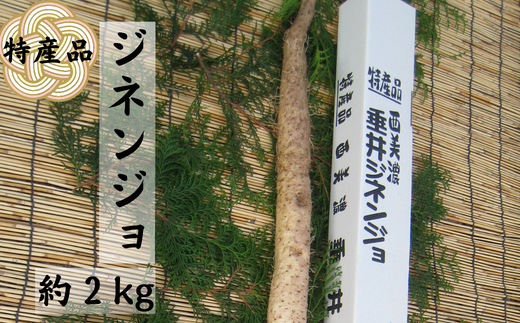 特産品 西美濃 垂井ジネンジョ約2kg 469491 - 岐阜県垂井町