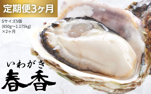 【いわがき 定期便3か月】いわがき春香Lサイズ5個×3ヵ月定期便 生食可能 牡蛎 牡蠣 かき カキ 岩牡蠣 いわがき CAS CAS冷凍 年末年始 鍋  お正月 お歳暮 御歳暮 ギフト 定期便