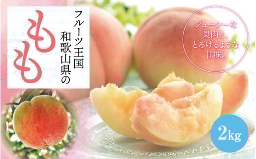 【先行予約】【夏の美味】【和歌山ブランド】フルーツ王国　和歌山　の　桃　約2kg　※2025年6月中旬～7月下旬頃順次発送（お届け日指定不可）【ard048C】 982971 - 和歌山県串本町