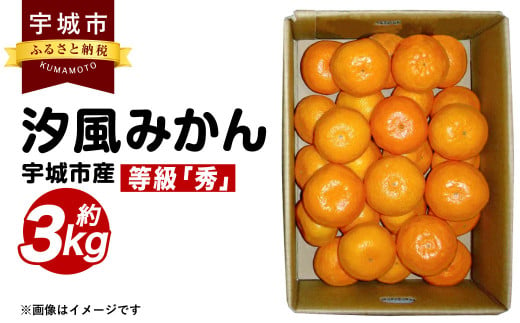 宇城市産 汐風みかん 等級「秀」約3kg 【のむちゃん農園】【11月上旬から2025年1月下旬発送予定】みかん オレンジ 果物 フルーツ 熊本県  472658 - 熊本県宇城市