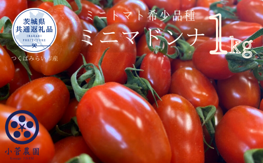 フルーツミニトマト【マドンナ】1kg(茨城