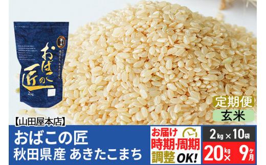玄米】【選べる配送時期】《定期便9ヶ月》令和4年産 おばこの匠 秋田県