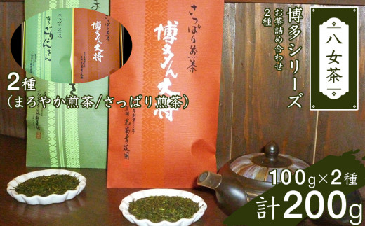 博多シリーズお茶詰合せ(2種) 474057 - 福岡県田川市