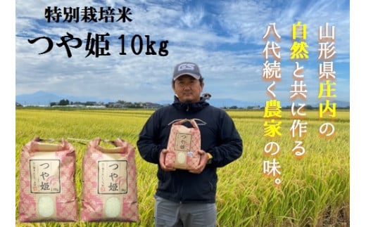 【令和6年産・精米】大沼ファームの特別栽培米つや姫10kg