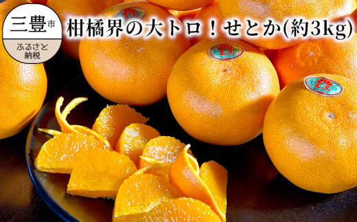M102-0009【2023年出荷】柑橘界の大トロ！せとか　(約3kg)