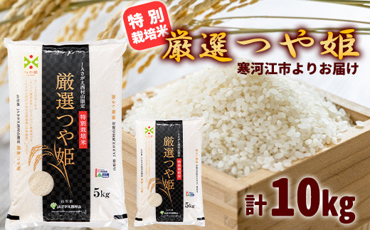 【特別栽培米】 厳選つや姫 10kg（5kg×2袋） 《JAさがえ西村山限定》 2024年産 令和6年産 山形県産 山形産 白米 精米 小分け 便利 弁当 ブランド米 ごはん ご飯 オリジナル 東北 国産 10キロ 山形県寒河江市　027-C-JA029