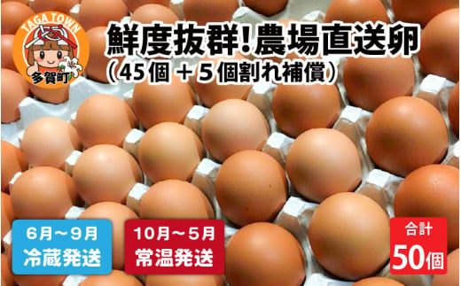 鮮度抜群！農場直送「卵」 50個（45個 ＋ 卵割れ補償 5個）[A-01601] 637808 - 滋賀県多賀町