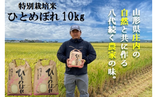 【精米】大沼ファームの特別栽培米ひとめぼれ10kg 