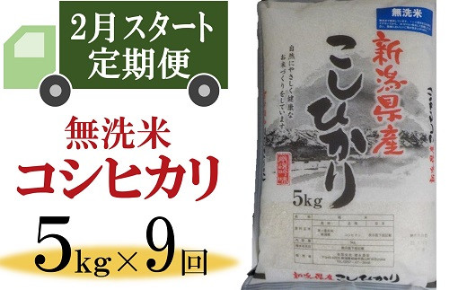 令和5年産新米【定期便・2月～発送】柏崎産 コシヒカリ 無洗米 5kg×9回（計 45kg）[I708]