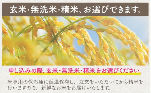 【令和4年産】【6ヶ月連続お届け】福井県坂井市丸岡町産 コシヒカリ5kg×6回　計30kg（精米） [D-11301_03]