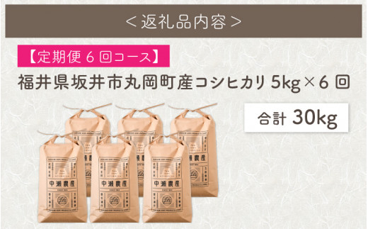 令和4年産】【6ヶ月連続お届け】福井県坂井市丸岡町産 コシヒカリ5kg×6