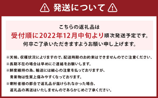 【12月中旬～12月下旬順次発送予定】 いちご「 あまおう 」＜270g×4パック＞