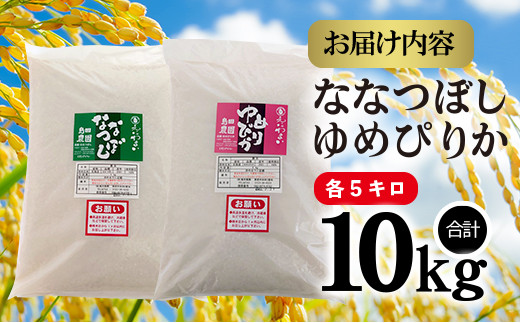 【定期便：全3回】北海道米「恵庭産たつやのななつぼし・ゆめぴりか」各5kgセット