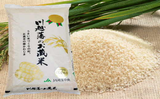 令和産 新米 計×2袋 特別栽培米 コシヒカリ 白米 精米