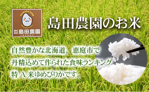 【定期便6ヶ月】北海道米「恵庭産たつやのゆめぴりか」5kg×2袋