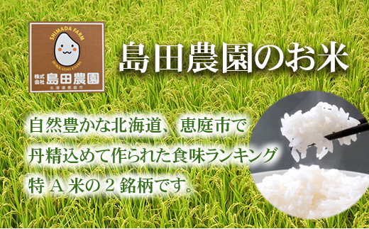 【定期便：全3回】北海道米「恵庭産たつやのななつぼし・ゆめぴりか」各5kgセット